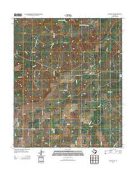 Dundee SW Texas Historical topographic map, 1:24000 scale, 7.5 X 7.5 Minute, Year 2012