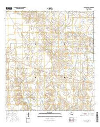 Eagle Pass NE Texas Current topographic map, 1:24000 scale, 7.5 X 7.5 Minute, Year 2016
