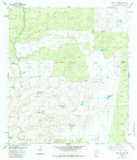 East Losa Tank Texas Historical topographic map, 1:24000 scale, 7.5 X 7.5 Minute, Year 1984