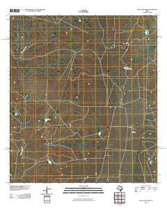 East Losa Tank Texas Historical topographic map, 1:24000 scale, 7.5 X 7.5 Minute, Year 2010