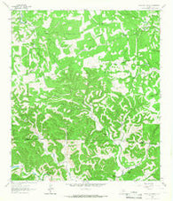 Echo Hill Ranch Texas Historical topographic map, 1:24000 scale, 7.5 X 7.5 Minute, Year 1964