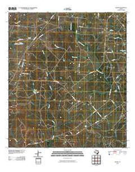 Edgar Texas Historical topographic map, 1:24000 scale, 7.5 X 7.5 Minute, Year 2010