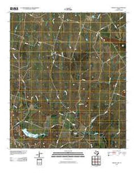 Eidson Lake Texas Historical topographic map, 1:24000 scale, 7.5 X 7.5 Minute, Year 2010