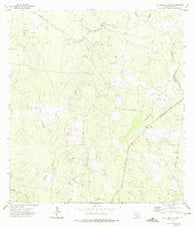 El Chapote Creek Texas Historical topographic map, 1:24000 scale, 7.5 X 7.5 Minute, Year 1972