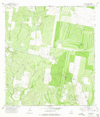 El Sauz Texas Historical topographic map, 1:24000 scale, 7.5 X 7.5 Minute, Year 1972