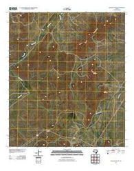 Elam Mountain Texas Historical topographic map, 1:24000 scale, 7.5 X 7.5 Minute, Year 2010