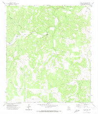 Elbow Lake Texas Historical topographic map, 1:24000 scale, 7.5 X 7.5 Minute, Year 1971