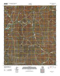 Elbow Lake Texas Historical topographic map, 1:24000 scale, 7.5 X 7.5 Minute, Year 2010