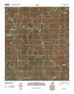Elbow Lake Texas Historical topographic map, 1:24000 scale, 7.5 X 7.5 Minute, Year 2010