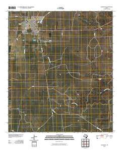 Eldorado Texas Historical topographic map, 1:24000 scale, 7.5 X 7.5 Minute, Year 2010
