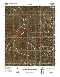 Eliasville Texas Historical topographic map, 1:24000 scale, 7.5 X 7.5 Minute, Year 2010