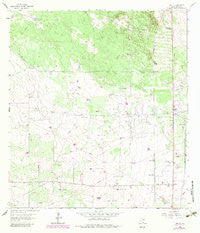 Encino Texas Historical topographic map, 1:24000 scale, 7.5 X 7.5 Minute, Year 1963