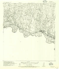 Escobares Texas Historical topographic map, 1:62500 scale, 15 X 15 Minute, Year 1956