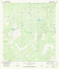 Escobas Texas Historical topographic map, 1:24000 scale, 7.5 X 7.5 Minute, Year 1980