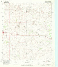 Eunice NE Texas Historical topographic map, 1:24000 scale, 7.5 X 7.5 Minute, Year 1969