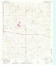 Eunice NE Texas Historical topographic map, 1:24000 scale, 7.5 X 7.5 Minute, Year 1969