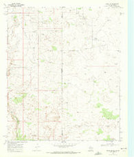 Eunice SE Texas Historical topographic map, 1:24000 scale, 7.5 X 7.5 Minute, Year 1969