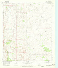 Eunice SE Texas Historical topographic map, 1:24000 scale, 7.5 X 7.5 Minute, Year 1969