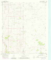 Eunice SE Texas Historical topographic map, 1:24000 scale, 7.5 X 7.5 Minute, Year 1969