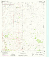 Eunice SE Texas Historical topographic map, 1:24000 scale, 7.5 X 7.5 Minute, Year 1969