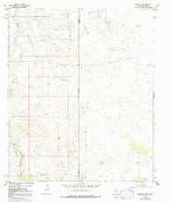 Eunice SE Texas Historical topographic map, 1:24000 scale, 7.5 X 7.5 Minute, Year 1969