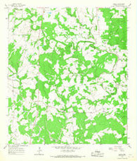 Ezzell Texas Historical topographic map, 1:24000 scale, 7.5 X 7.5 Minute, Year 1964