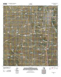Falfurrias Texas Historical topographic map, 1:24000 scale, 7.5 X 7.5 Minute, Year 2010