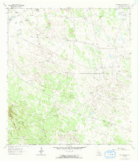 Falfurrias SE Texas Historical topographic map, 1:24000 scale, 7.5 X 7.5 Minute, Year 1963