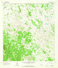 Falfurrias SE Texas Historical topographic map, 1:24000 scale, 7.5 X 7.5 Minute, Year 1963