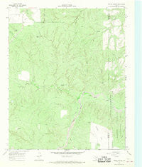 Fields Canyon Texas Historical topographic map, 1:24000 scale, 7.5 X 7.5 Minute, Year 1966