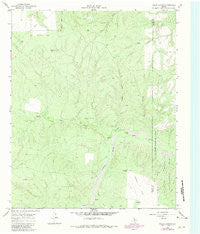 Fields Canyon Texas Historical topographic map, 1:24000 scale, 7.5 X 7.5 Minute, Year 1966