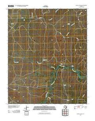 Fields Canyon Texas Historical topographic map, 1:24000 scale, 7.5 X 7.5 Minute, Year 2010