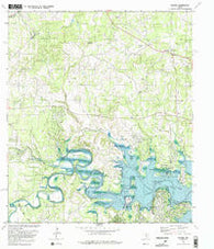 Fischer Texas Historical topographic map, 1:24000 scale, 7.5 X 7.5 Minute, Year 1989