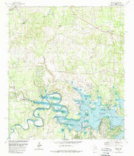 Fischer Texas Historical topographic map, 1:24000 scale, 7.5 X 7.5 Minute, Year 1989