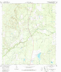 Fitzpatrick Hollow Texas Historical topographic map, 1:24000 scale, 7.5 X 7.5 Minute, Year 1969