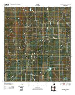 Fitzpatrick Hollow Texas Historical topographic map, 1:24000 scale, 7.5 X 7.5 Minute, Year 2010