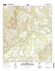 Fitzpatrick Hollow Texas Current topographic map, 1:24000 scale, 7.5 X 7.5 Minute, Year 2016