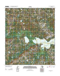 Flag Pond Texas Historical topographic map, 1:24000 scale, 7.5 X 7.5 Minute, Year 2013