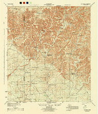 Flat Rock Texas Historical topographic map, 1:62500 scale, 15 X 15 Minute, Year 1944
