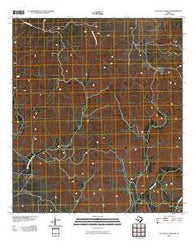 Flat Rock Creek NW Texas Historical topographic map, 1:24000 scale, 7.5 X 7.5 Minute, Year 2010