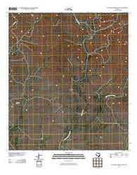 Flat Rock Creek South Texas Historical topographic map, 1:24000 scale, 7.5 X 7.5 Minute, Year 2010
