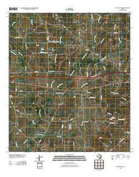 Flatonia NW Texas Historical topographic map, 1:24000 scale, 7.5 X 7.5 Minute, Year 2010