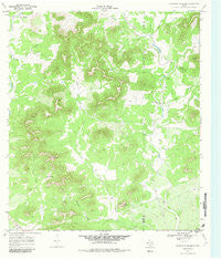 Flatrock Crossing Texas Historical topographic map, 1:24000 scale, 7.5 X 7.5 Minute, Year 1969