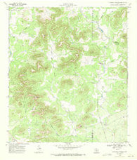 Flatrock Crossing Texas Historical topographic map, 1:24000 scale, 7.5 X 7.5 Minute, Year 1969