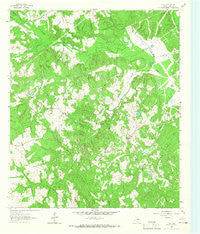 Flo Texas Historical topographic map, 1:24000 scale, 7.5 X 7.5 Minute, Year 1964