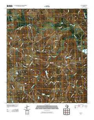Flo Texas Historical topographic map, 1:24000 scale, 7.5 X 7.5 Minute, Year 2010