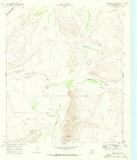 Florenzo Hill Texas Historical topographic map, 1:24000 scale, 7.5 X 7.5 Minute, Year 1970