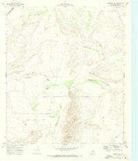 Florenzo Hill Texas Historical topographic map, 1:24000 scale, 7.5 X 7.5 Minute, Year 1970
