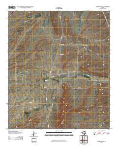 Florenzo Hill Texas Historical topographic map, 1:24000 scale, 7.5 X 7.5 Minute, Year 2010