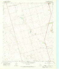 Flower Grove Texas Historical topographic map, 1:24000 scale, 7.5 X 7.5 Minute, Year 1966